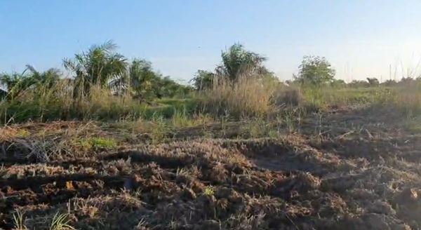 ขายที่ดินเปล่า 23-0-11 ไร่ จังหวัดนครศรีธรรมราช อำเภอร่อนพิบูลย์ เหมาะสำหรับทำการเกษตร